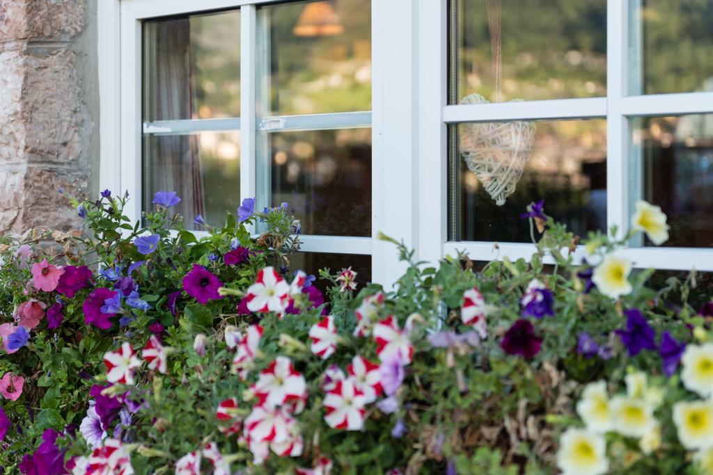 Grand Hotel Molveno Extérieur photo